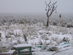 2004-11-28 16.25.54-2