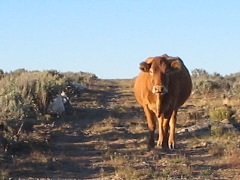 2004-11-28 16.26.10-1