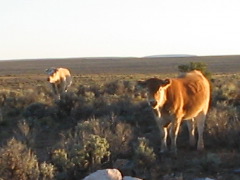 2004-11-28 16.26.10-3