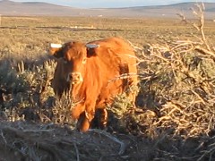 2004-11-28 16.26.11-2