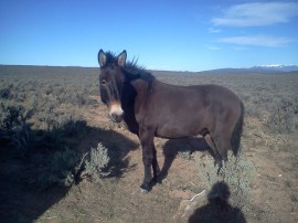 Photo Dec 08, 7 54 24 PM