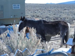 Photo Oct 18, 5 43 25 PM