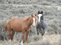 Photo Oct 18, 5 43 57 PM